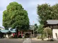 若宮神社(東京都)