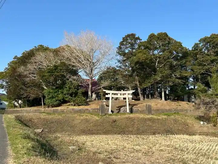 八坂神社の{uncategorized: "未分類", other: "その他", undefined: "問題あり", building: "その他建物", grave: "お墓", sacred_gate: "鳥居", guardian: "狛犬", statue: "像", buddha: "仏像", history: "歴史", nature: "自然", garden: "庭園", animal: "動物", pagoda: "塔", temizu: "手水舎", mountain_gate: "山門・神門", sanctuary: "本殿・本堂", subordinate: "末社・摂社", art: "芸術", scenery: "景色", jizo: "地蔵", ema: "絵馬", goshuin: "御朱印", omikuji: "おみくじ", items: "授与品その他", amulet: "お守り", goshuincho: "御朱印帳", eats: "食事", festival: "お祭り", votive_dance: "神楽", shichigosan: "七五三参", wedding: "結婚式", experience: "体験その他", initially: "初詣", around: "周辺", anti_infection: "感染症対策"}