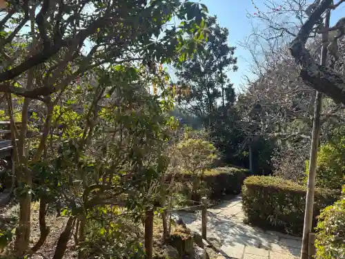 瑞泉寺の{uncategorized: "未分類", other: "その他", undefined: "問題あり", building: "その他建物", grave: "お墓", sacred_gate: "鳥居", guardian: "狛犬", statue: "像", buddha: "仏像", history: "歴史", nature: "自然", garden: "庭園", animal: "動物", pagoda: "塔", temizu: "手水舎", mountain_gate: "山門・神門", sanctuary: "本殿・本堂", subordinate: "末社・摂社", art: "芸術", scenery: "景色", jizo: "地蔵", ema: "絵馬", goshuin: "御朱印", omikuji: "おみくじ", items: "授与品その他", amulet: "お守り", goshuincho: "御朱印帳", eats: "食事", festival: "お祭り", votive_dance: "神楽", shichigosan: "七五三参", wedding: "結婚式", experience: "体験その他", initially: "初詣", around: "周辺", anti_infection: "感染症対策"}