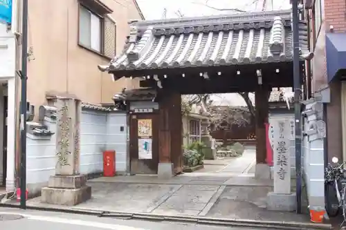 墨染寺（桜寺）の山門