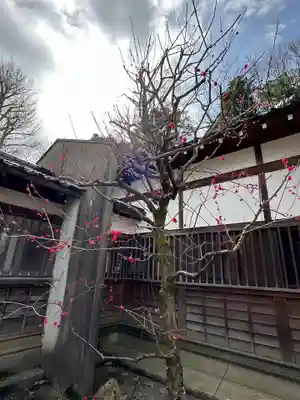 尾崎神社(石川県)