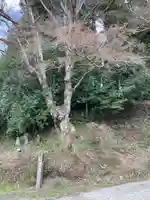 鹿島神社(栃木県)