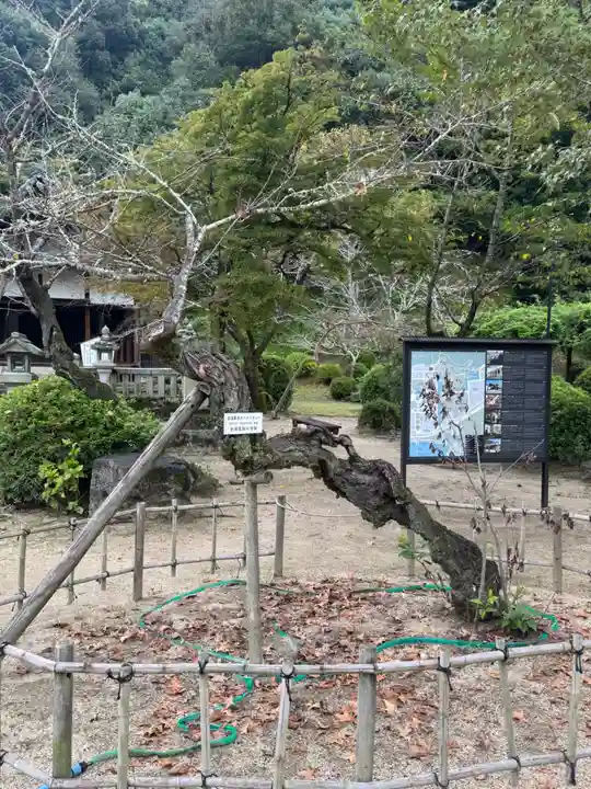 吉香神社(山口県)
