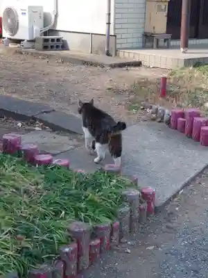下溝八幡宮(神奈川県)