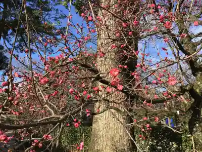北野天満宮(京都府)