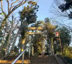 代々木八幡宮の鳥居