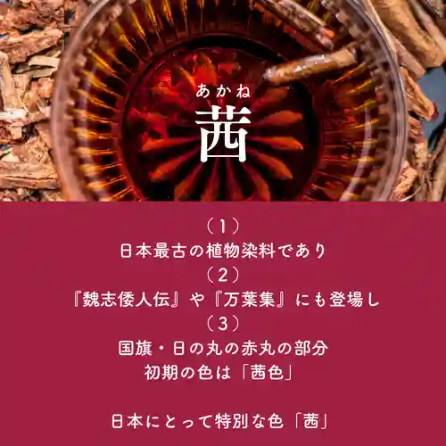 諫早神社（九州総守護  四面宮）の御朱印