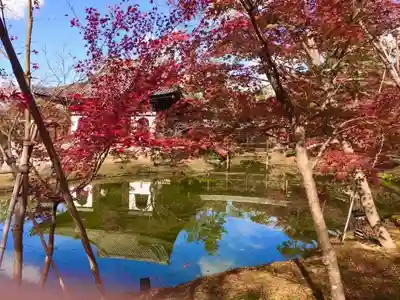 高台寺（高台寿聖禅寺・高臺寺）(京都府)