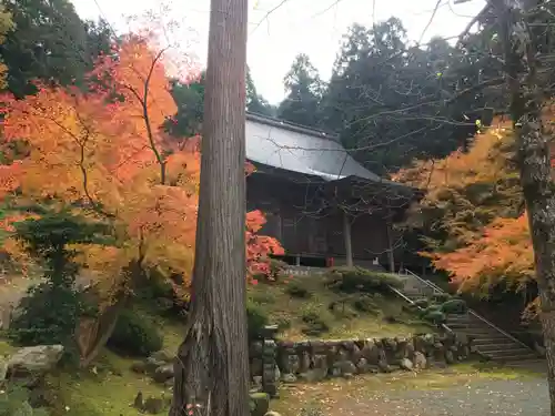 萬徳寺の建物その他