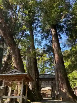 蛭子神社(徳島県)