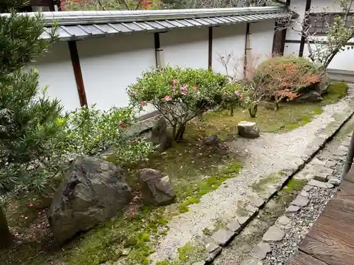 隨心院（随心院）(京都府)