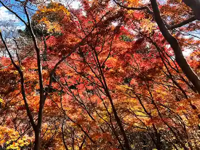 箸蔵寺(徳島県)