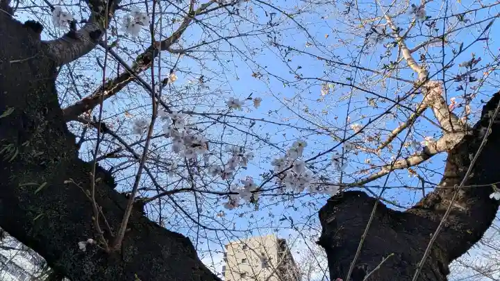 名古屋東照宮の{uncategorized: "未分類", other: "その他", undefined: "問題あり", building: "その他建物", grave: "お墓", sacred_gate: "鳥居", guardian: "狛犬", statue: "像", buddha: "仏像", history: "歴史", nature: "自然", garden: "庭園", animal: "動物", pagoda: "塔", temizu: "手水舎", mountain_gate: "山門・神門", sanctuary: "本殿・本堂", subordinate: "末社・摂社", art: "芸術", scenery: "景色", jizo: "地蔵", ema: "絵馬", goshuin: "御朱印", omikuji: "おみくじ", items: "授与品その他", amulet: "お守り", goshuincho: "御朱印帳", eats: "食事", festival: "お祭り", votive_dance: "神楽", shichigosan: "七五三参", wedding: "結婚式", experience: "体験その他", initially: "初詣", around: "周辺", anti_infection: "感染症対策"}