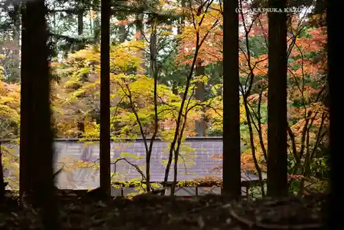 三峯神社(埼玉県)