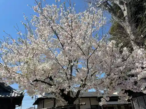 下総野田愛宕神社の庭園