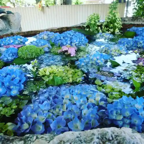 立志神社の手水舎