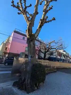 慈眼寺(東京都)