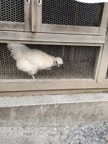 櫻木神社(東京都)