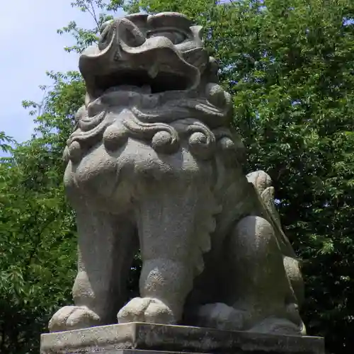 八心大市比古神社の狛犬