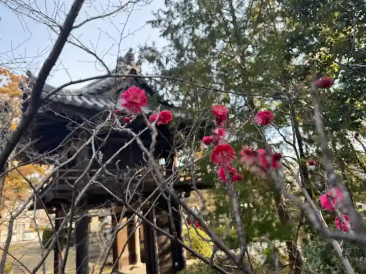 伊勢の国 四天王寺(三重県)