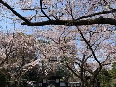 松音寺(宮城県)