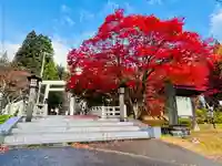 土津神社|こどもと出世の神さま(福島県)