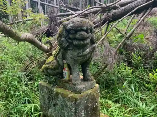 神社(名称不明)の狛犬
