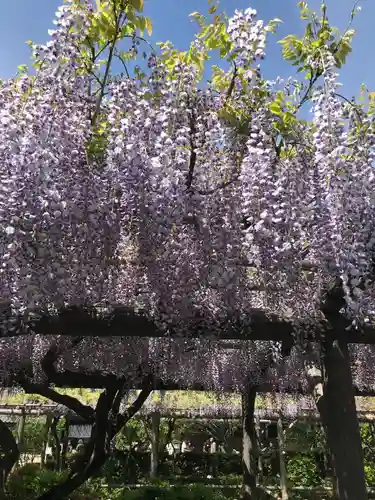 亀戸天神社の庭園