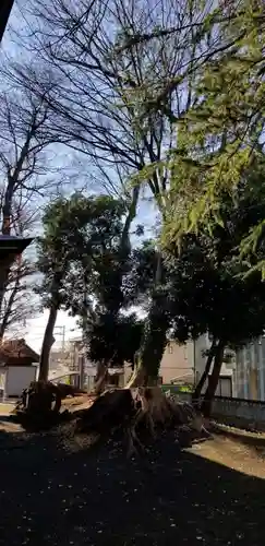 明治神社の自然