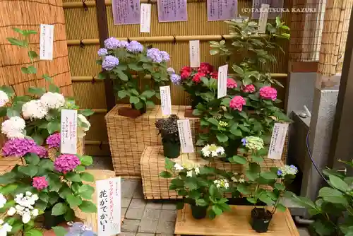十番稲荷神社(東京都)