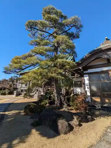 寳藏院(神奈川県)
