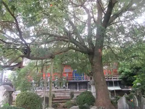 定願寺(栃木県)