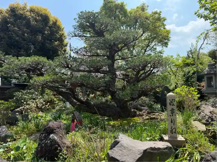 常泉寺(神奈川県)