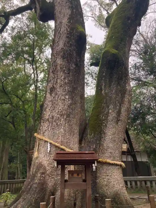 伊弉諾神宮(兵庫県)