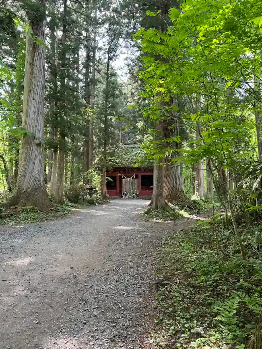 戸隠神社奥社(長野県)