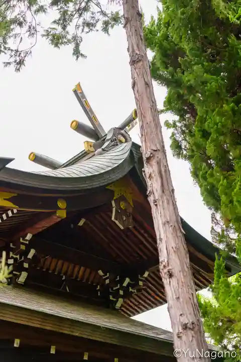 磯良神社(疣水神社)(大阪府)