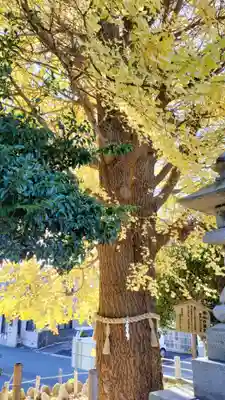 鹿嶋神社(茨城県)