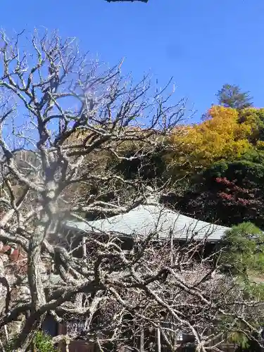 瑞泉寺の庭園