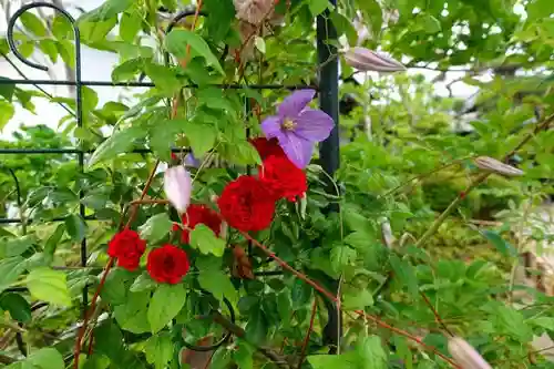 おふさ観音（観音寺）の庭園
