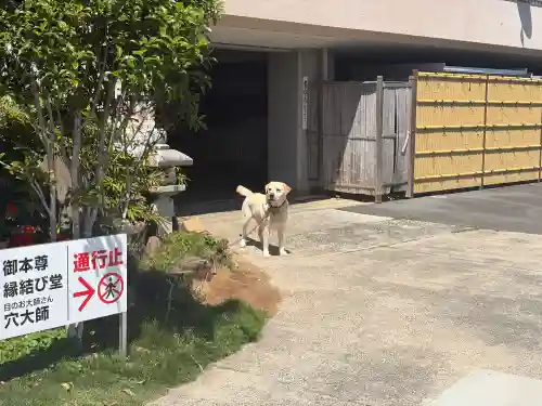 舘山寺の{uncategorized: "未分類", other: "その他", undefined: "問題あり", building: "その他建物", grave: "お墓", sacred_gate: "鳥居", guardian: "狛犬", statue: "像", buddha: "仏像", history: "歴史", nature: "自然", garden: "庭園", animal: "動物", pagoda: "塔", temizu: "手水舎", mountain_gate: "山門・神門", sanctuary: "本殿・本堂", subordinate: "末社・摂社", art: "芸術", scenery: "景色", jizo: "地蔵", ema: "絵馬", goshuin: "御朱印", omikuji: "おみくじ", items: "授与品その他", amulet: "お守り", goshuincho: "御朱印帳", eats: "食事", festival: "お祭り", votive_dance: "神楽", shichigosan: "七五三参", wedding: "結婚式", experience: "体験その他", initially: "初詣", around: "周辺", anti_infection: "感染症対策"}