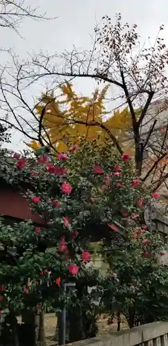 榎戸稲荷神社の自然