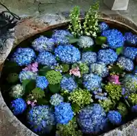 立志神社の手水舎