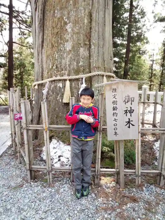 戸隠神社中社(長野県)