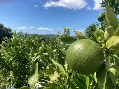 竜王神社の周辺