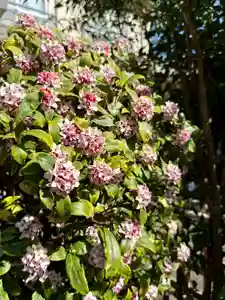 福王山 慈眼寺(東京都)(2026年02月28日(土) 11時13分02秒投稿)