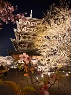 東寺(教王護国寺)の御朱印