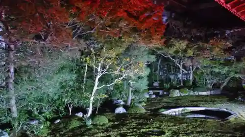 本法寺の庭園