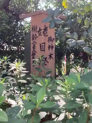 山王稲穂神社(東京都)