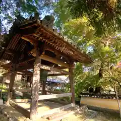 十輪寺(京都府)