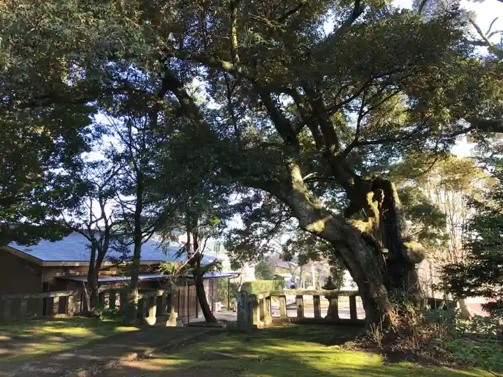 熊野神社の庭園